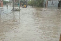 Sungai Comal Pemalang Banjir, Desa Pesantren Ulujami Terendam 