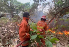 Sehari 2 Kebakaran Lahan di Slawi Tegal, Nyaris Sambar GOR Trisanja