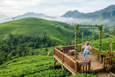 Wisata Alam di Batang Terpopuler 2026 yang Sejuk dan Pas untuk Healing