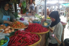 Harga Cabai Tembus Rp100 Ribu per Kilogram di Pasar Trayeman Slawi, Pedagang Menjerit!  