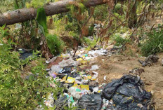 Temuan Sampah SPPG di Hutan Brebes, DLHPS Langsung Turun Tangan