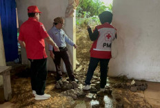 Longsor di Bojong dan Bumijawa Tegal, Lansia Tertimpa Runtuhan Tanah