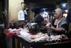Pantauan Harga Pangan Tegal: Daging Ayam dan Telur Naik Imbas MBG
