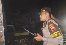 Kios Buah di Slawi Kebakaran, Laptop dan Uang Tunai Ludes 