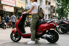 Melibas Berbagai Medan! Ini Pilihan Motor Listrik Subsidi Tangguh Paling Laris