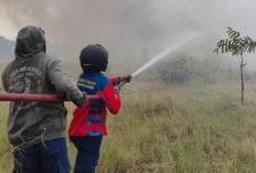 Kebakaran Lahan Seluas 5 Hektare Terjadi di Bulakamba Brebes, Diduga Gara-gara Pembakaran Sampah