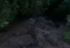 Banjir Bandang di Pemalang Menelan Korban jiwa