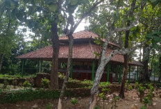 Mengulik Tembok Luwung, Benarkah Kunci Awal Sejarah Tegal Tersembunyi di Sini?