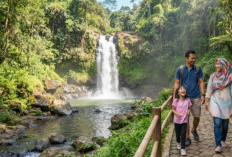 5 Curug di Pemalang yang Akses Jalannya Mudah: Tanpa Trekking Berat & Cocok Buat Keluarga!