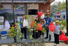 Pengunjung Brebes Expo Dijamin Dapat Bibit Buah! Dengan Membawa Ini