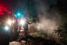 Kebakaran Lahan di Sidakaton Tegal, Kabel WiFi Ludes Terbakar