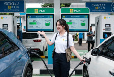 Baterai LFP vs NMC Mobil Listrik: Perbandingan Keamanan, Daya Tahan, & Usia Pakai