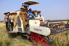 Pemkab Brebes Dukung Program ICARE, Perkuat Sektor Pertanian