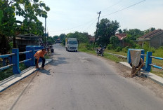 DPU Tinjau Jembatan Berlubang di Luwungbata-Tanjung