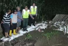 GAWAT! Tanggul Sungai Pemali Jebol, Camat Brebes Gercep Lakukan Ini