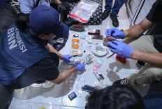 Medsos Gemuruh! Isu Kepala BNN Dekat dengan Shandy Aulia Usai Penggeledahan Kampung Ambon