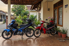 Daftar 6 Motor Bebek Yamaha Paling Bandel, Jarang Rewel dan Awet Dipakai Harian