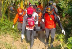 Bocah yang Hanyut di Sungai Comal Pemalang Meninggal, BPBD: Ditemukan di Radius 200 Meter