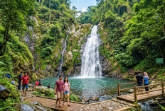 7 Tempat Wisata Alam di Tegal yang Tiketnya Murah, Suasananya Bikin Pikiran Segar