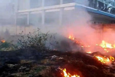 Kebakaran Lahan di Procot Tegal Nyaris Hanguskan Hotel Permata Inn Slawi