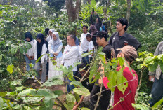 Yamaha Classy HangoutDay, Hadirkan Pengalaman Baru Memetik Biji Hingga Meracik Kopi Sendiri