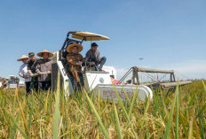 Target 2025 Terlapaui, Jawa Tengah Optimis Jadi Penumpu Pangan Nasional 2026