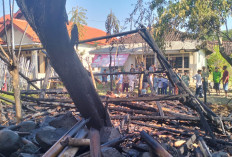 25 Ekor Kambing di Brebes Gosong Usai Kandangnya Terbakar Hebat