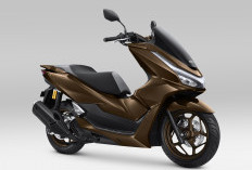 Honda PCX160 2026 Meluncur di IIMS! Cek Pilihan Warna Mewah dan Harga Terbarunya