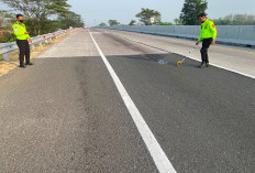 Tragis! Kecelakaan di Jalan Tol Pejagan Pemalang Menelan Dua Korban Jiwa