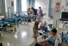 Keracunan MBG di Rembang Melonjak, Bupati dan Wabup Masih Bungkam