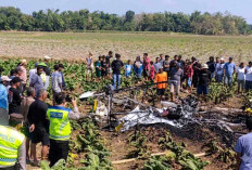 Kronologi Pesawat Capung Jatuh dan Terbakar di Persawahan Blora