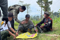 Baru Ditanam, Tanaman di Brebes Dirusak Oknum, Kepala DLHPS : Kami Prihatin