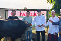 Dandim 0711/Pemalang Serahkan Hewan Kurban untuk Masyarakat di Hari Raya Iduladha 1447 H