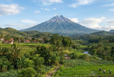 5 Wisata Alam di Pemalang Pemandangan Gunung Slamet: Udara Sejuk & Panorama Megah!