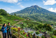 6 Wisata Murah di Tegal dan Sekitarnya, Tiket Murah Bikin Anggaran Liburan Tidak Membengkak