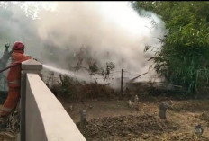 Tegal Mencekam, Empat Kebakaran Lahan Beruntun Mengamuk dalam Sehari