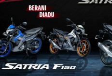 5 Motor Bebek untuk Perjalanan Jauh Terbaik: Tangguh di Tanjakan, Super Irit, & Nyaman!