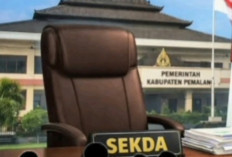 Enam Pejabat Lolos Seleksi Administrasi Calon Sekda Pemalang, Ini Namanya