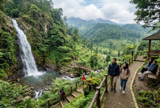 10 Wisata Sejuk di Pekalongan yang Indah, dari Curug Bajing hingga Petungkriyono