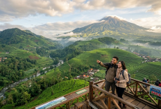 Bukan Guci Saja, Ini 5 Hidden Gem di Bumijawa Tegal yang Viral di TikTok