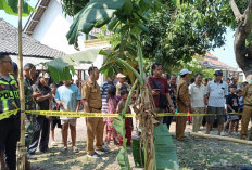 Lansia di Brebes Ditemukan Meninggal Dunia dalam Sumur
