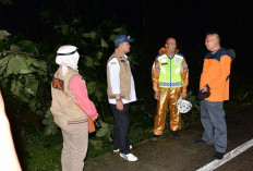 Sempat Macet Akibat Pohon Tumbang, Bupati Pastikan Jalan Bantarbolang–Pemalang Sudah Normal Kembali