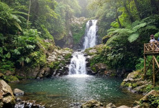 Daftar Curug Cantik di Pemalang, Pesona Air Terjun Hidden Gem Jawa Tengah
