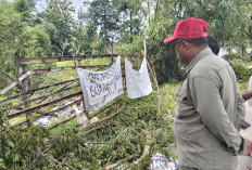 Sampah Jadi Momok di Kecamatan Comal Pemalang, Banyak yang Buang Sembarangan