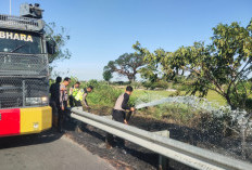 Krisis Kemarau, Kasus Kebakaran Lahan di Jalan Tol Pejagan KM 248 Brebes Jadi Sorotan