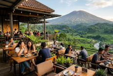 Cocok buat Nongkrong, 8 Cafe View Alam di Purwokerto yang Lagi Hits 2026