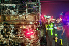 Kronologi Bus Tunas Muda Terbakar di Tol Semarang-Batang Dini Hari