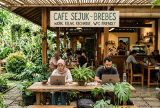 7 Cafe Sejuk di Brebes untuk WFC 2026, Nyaman buat Kerja Sambil Ngopi