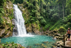 5 Wisata Alam Kabupaten Tegal Paling Hits Tahun 2026, Cocok Dikunjungi Bersama Keluarga