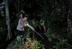 Balita Tenggelam di Pekalongan Ditemukan Meninggal di Kubangan Air Limbah Wiradesa